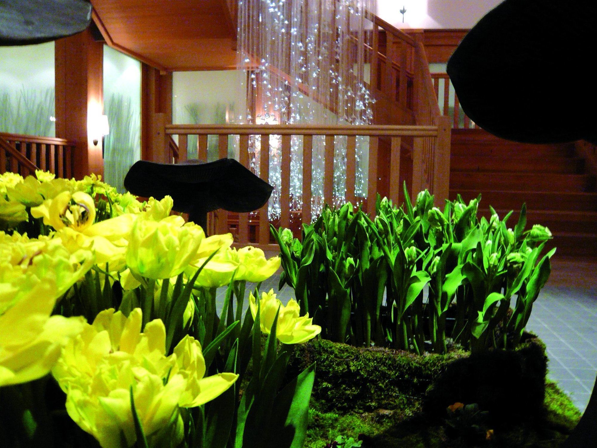 וילארס-סור-אולון Chalet Royalp Hotel & Spa מראה פנימי תמונה